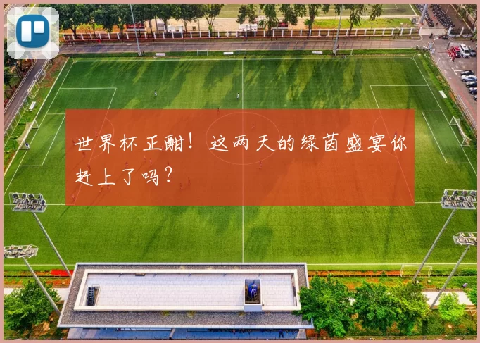 世界杯正酣!这两天的绿茵盛宴你赶上了吗?