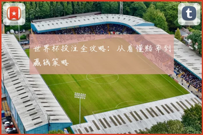 世界杯投注全攻略:从看懂赔率到赢钱策略