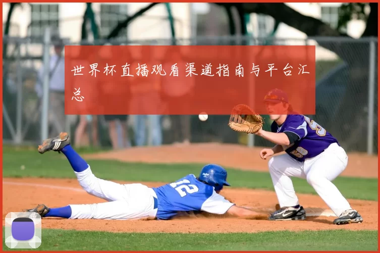 世界杯直播观看渠道指南与平台汇总
