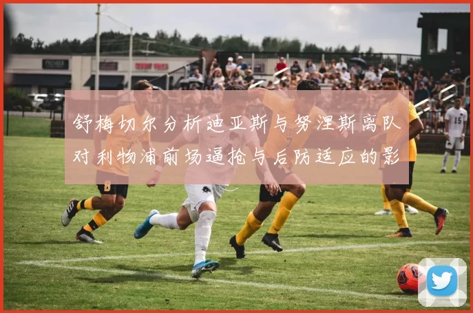 舒梅切尔分析迪亚斯与努涅斯离队对利物浦前场逼抢与后防适应的影响