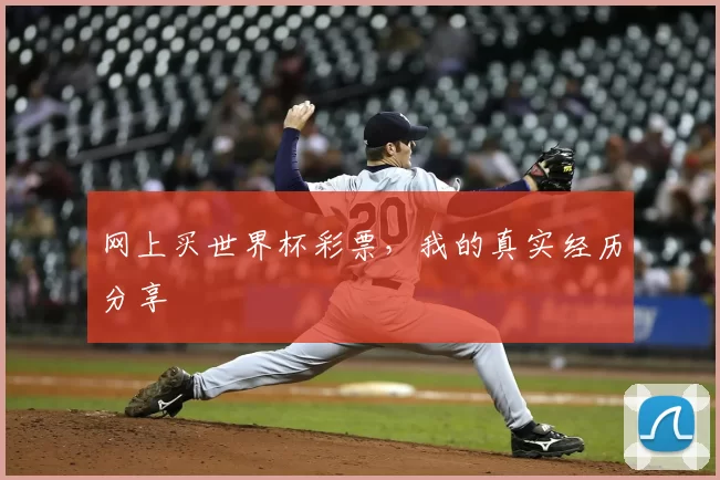 网上买世界杯彩票,我的真实经历分享