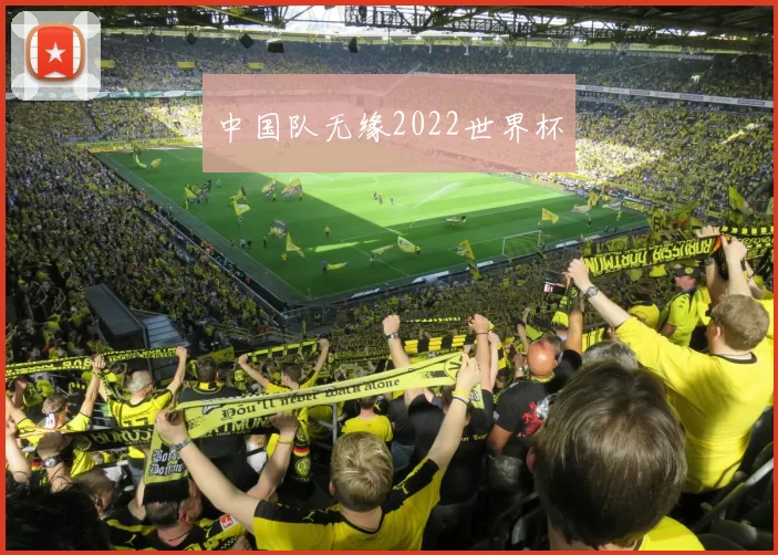 中国队无缘2022世界杯