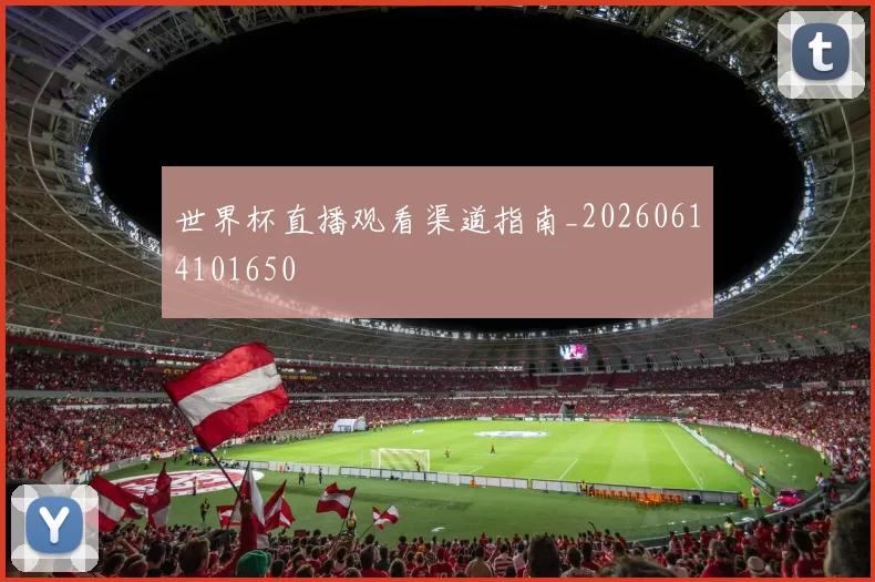 世界杯直播观看渠道指南_20260614101650