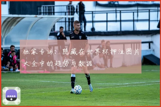 独家专访：隐藏在世界杯押注图片大全中的趋势与数据