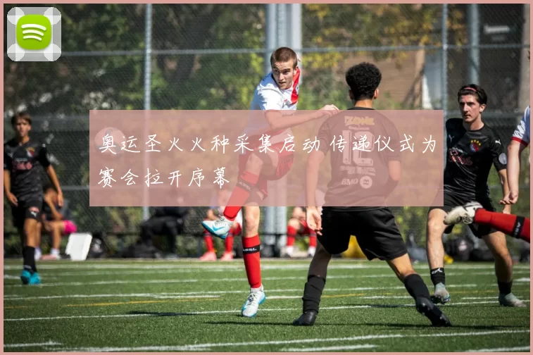 奥运圣火火种采集启动 传递仪式为赛会拉开序幕